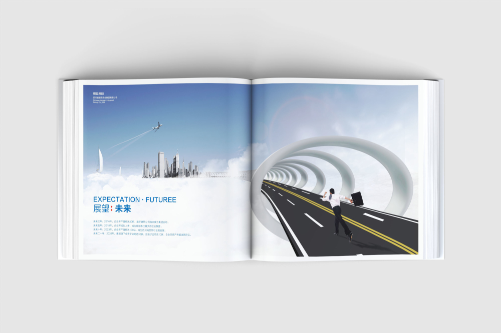 湖口县画册设计